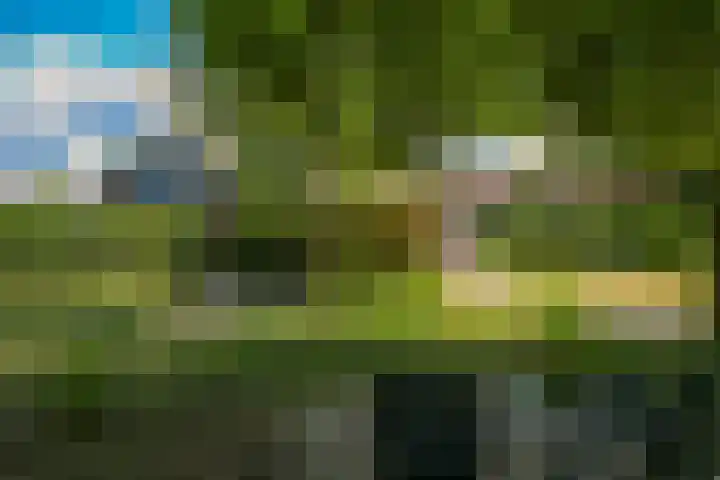 Westerbeek van Eertenweg 1 Hummelo thumbnail 23