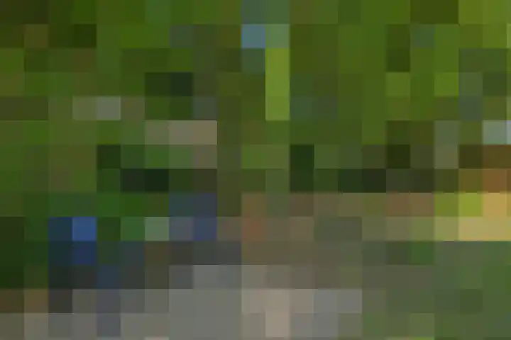 Westerbeek van Eertenweg 1 Hummelo thumbnail 24