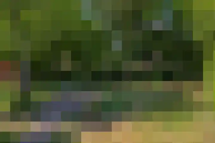 Westerbeek van Eertenweg 1 Hummelo thumbnail 25