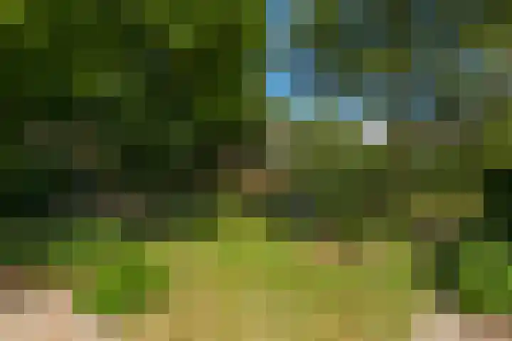Westerbeek van Eertenweg 1 Hummelo thumbnail 26