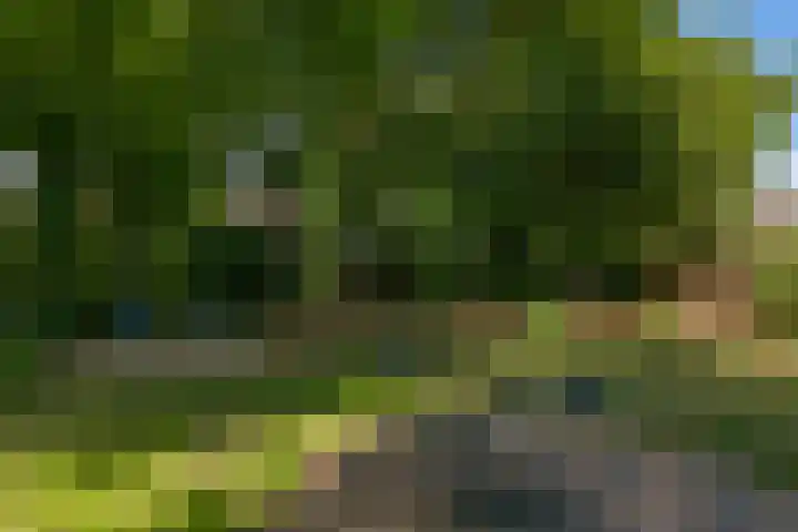 Westerbeek van Eertenweg 1 Hummelo thumbnail 27