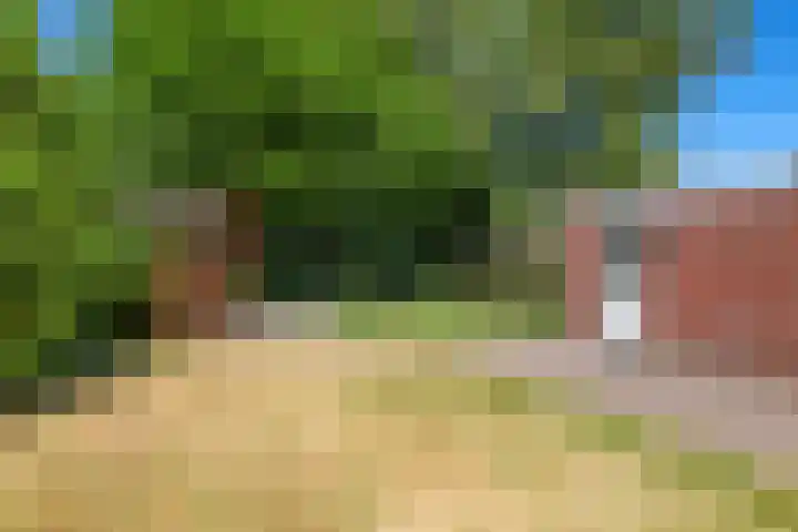 Westerbeek van Eertenweg 1 Hummelo thumbnail 30
