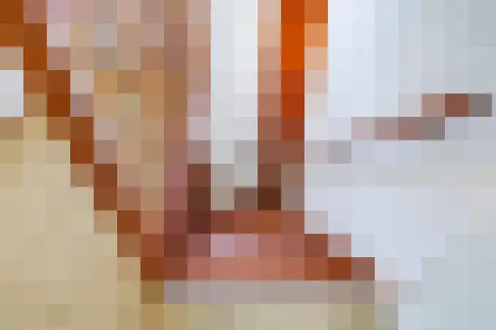 Westerbeek van Eertenweg 1 Hummelo thumbnail 33