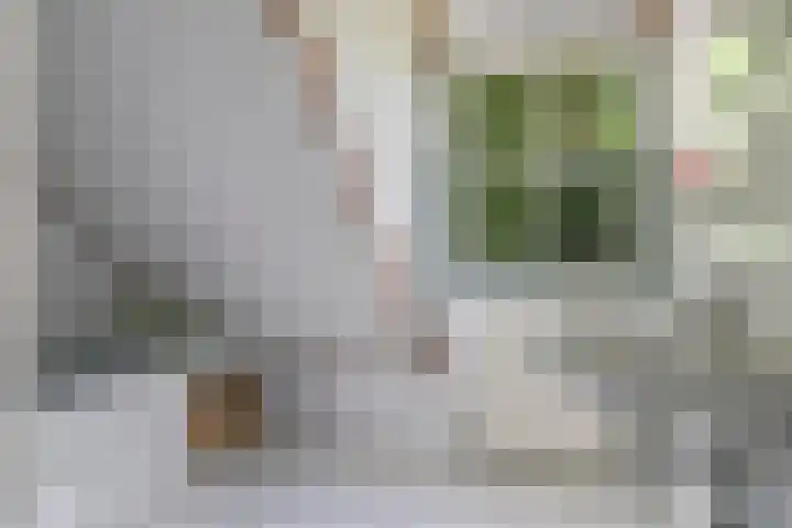Westerbeek van Eertenweg 1 Hummelo thumbnail 40