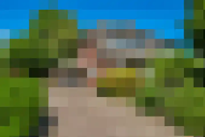 Westerbeek van Eertenweg 1 Hummelo thumbnail 54