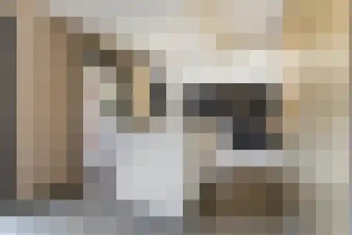 Westerbeek van Eertenweg 19 Hummelo thumbnail 13