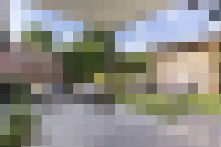 Westerbeek van Eertenweg 19 Hummelo thumbnail 19