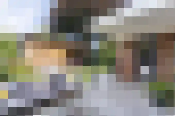 Westerbeek van Eertenweg 19 Hummelo thumbnail 20