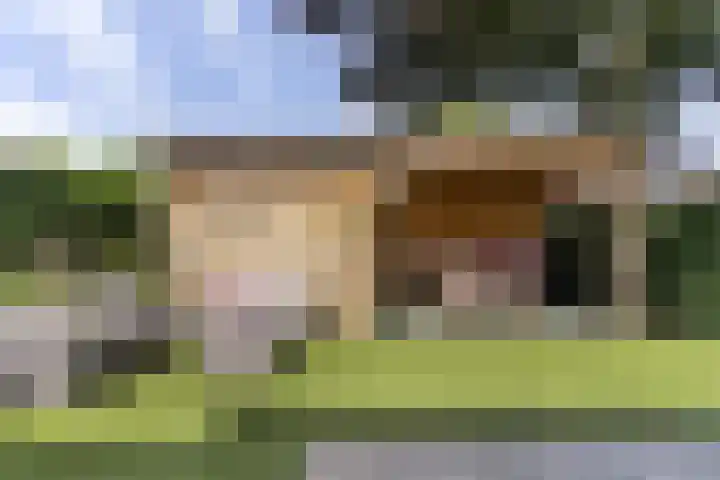 Westerbeek van Eertenweg 19 Hummelo thumbnail 21