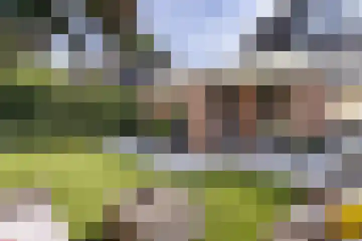 Westerbeek van Eertenweg 19 Hummelo thumbnail 22