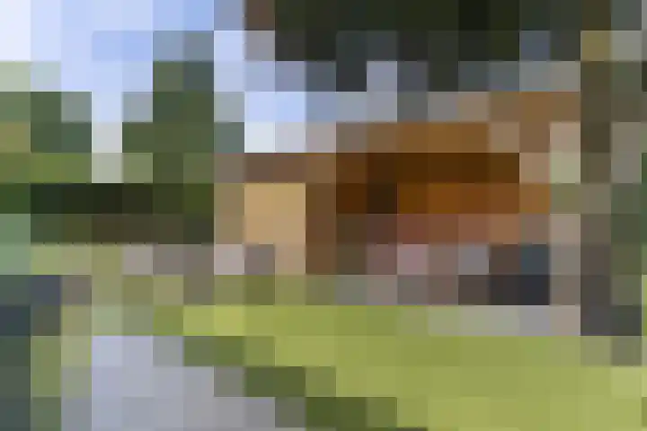 Westerbeek van Eertenweg 19 Hummelo thumbnail 4