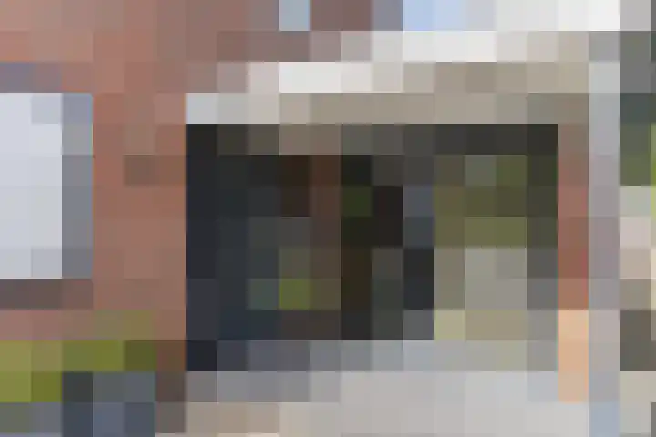 Westerbeek van Eertenweg 19 Hummelo thumbnail 5
