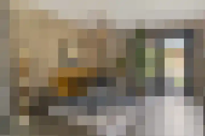 Westerbeek van Eertenweg 19 Hummelo thumbnail 8