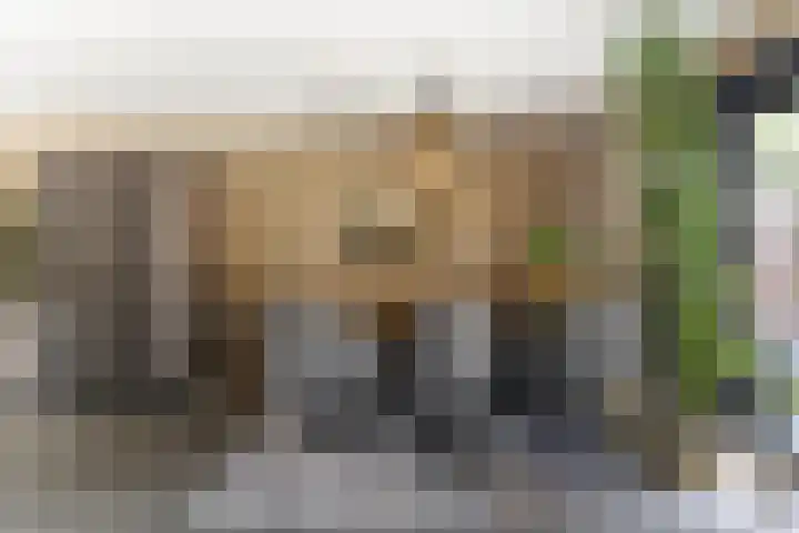 Westerbeek van Eertenweg 19 Hummelo thumbnail 9