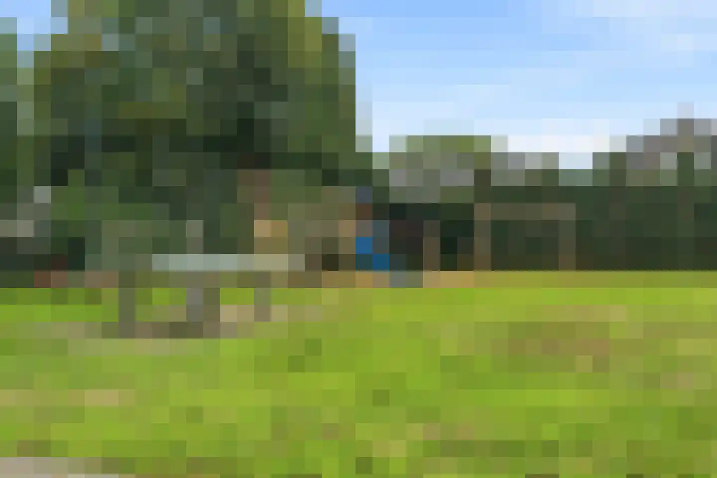 Westerbeek van Eertenweg 46 Hummelo thumbnail 41
