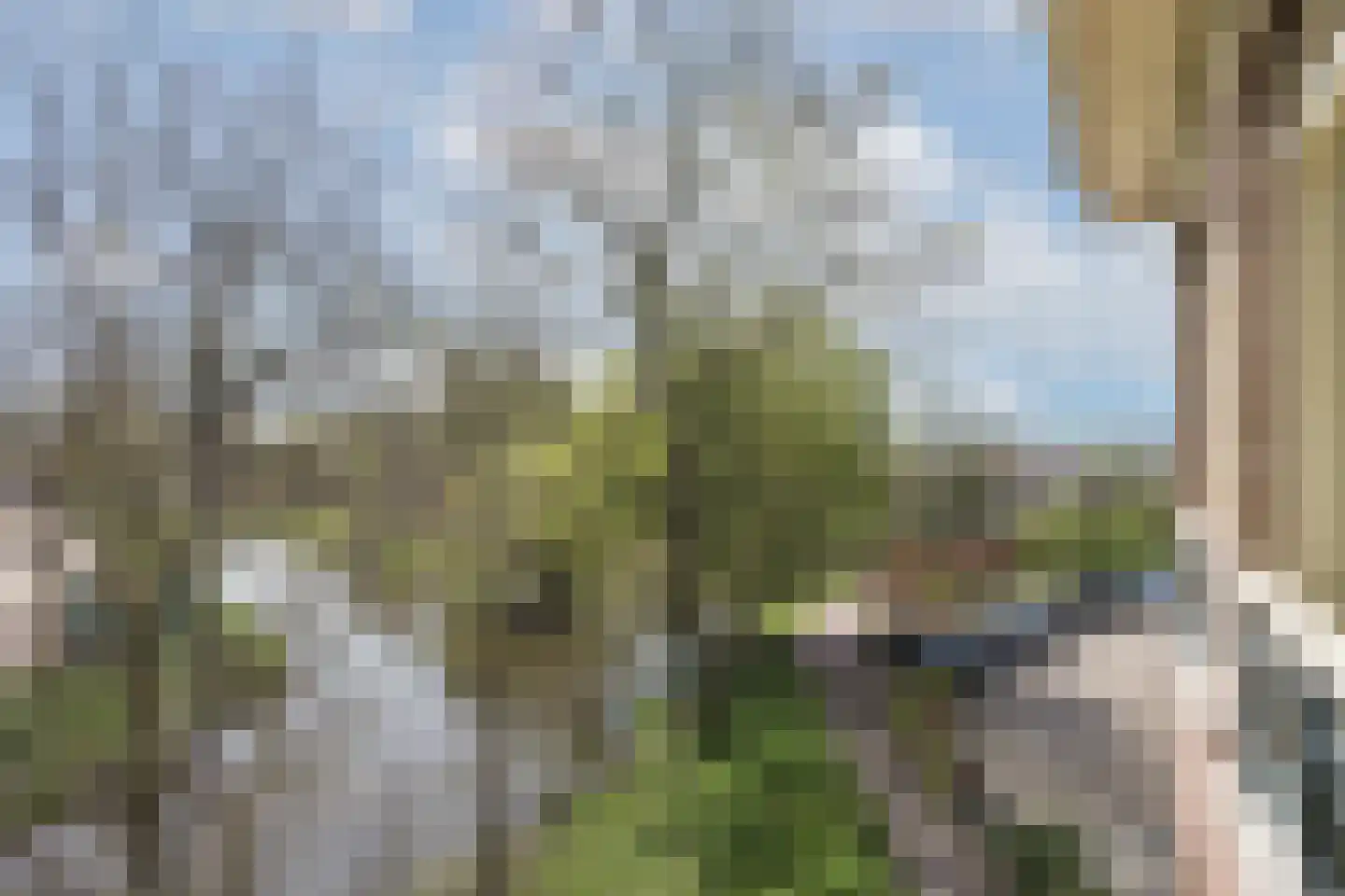 Westerbleek 12 Lochem thumbnail 22