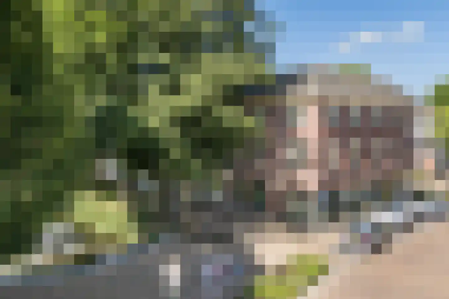 Westerbleek 3 Lochem thumbnail 22