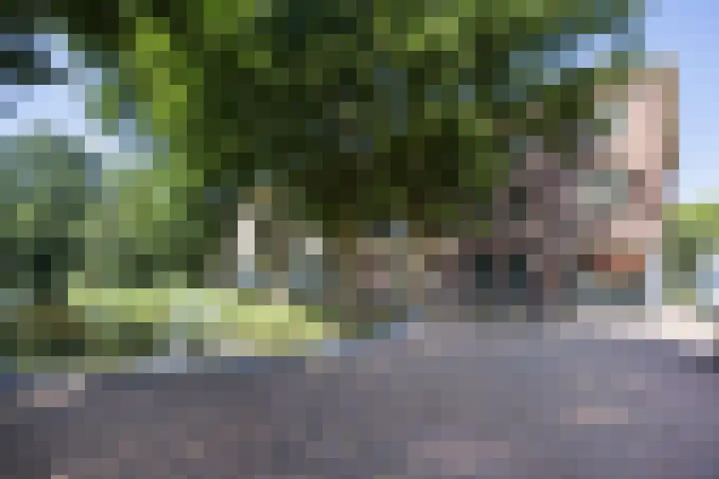 Westerbleek 3 Lochem thumbnail 5