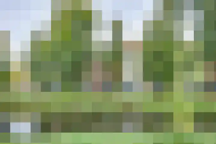 Westerbleek 9 Lochem