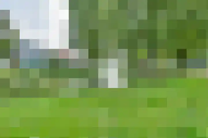 Westerbleek 9 Lochem thumbnail 47