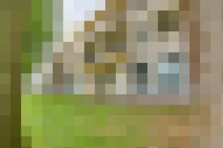 Westerbleek 9 Lochem thumbnail 5