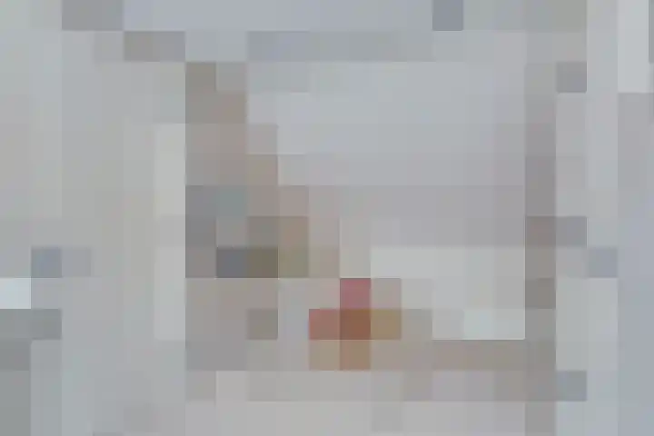 Westerblokker 10 Oosterblokker thumbnail 19