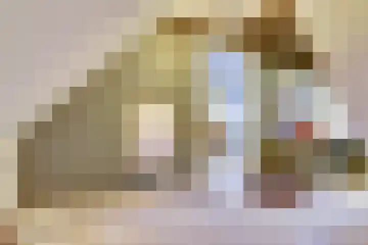 Westerblokker 10 Oosterblokker thumbnail 26