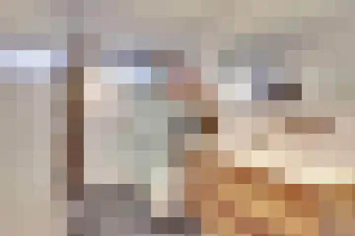 Westerblokker 10 Oosterblokker thumbnail 27