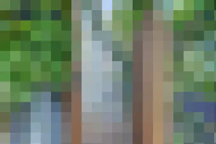 Westerblokker 10 Oosterblokker thumbnail 33