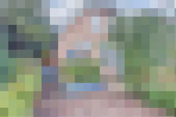 Westerblokker 10 Oosterblokker thumbnail 4