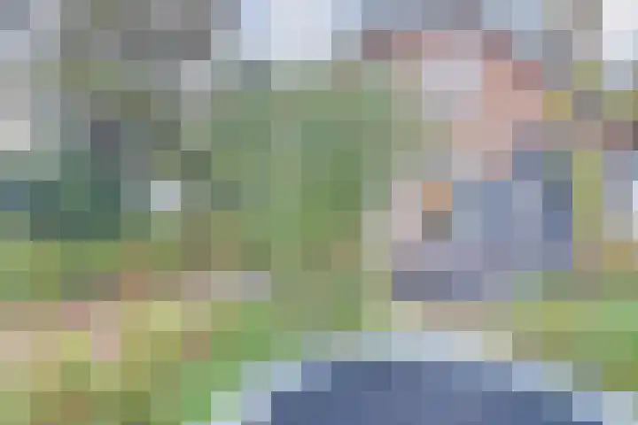 Westerblokker 10 Oosterblokker thumbnail 5