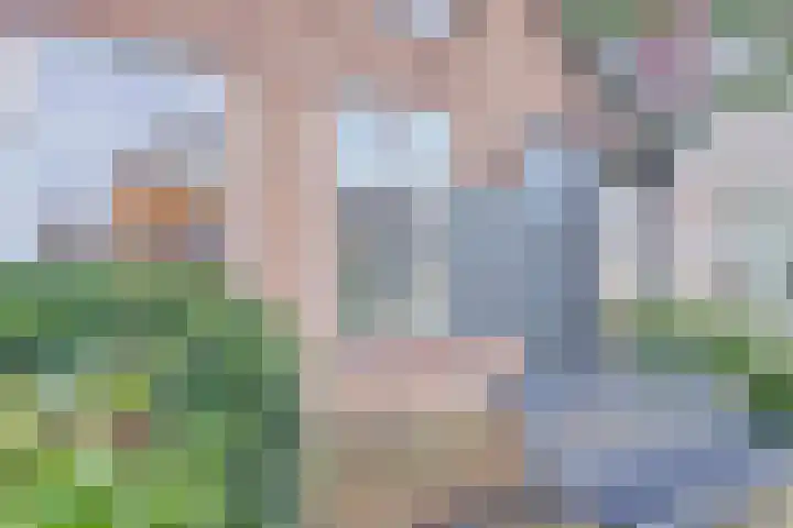 Westerblokker 10 Oosterblokker thumbnail 6