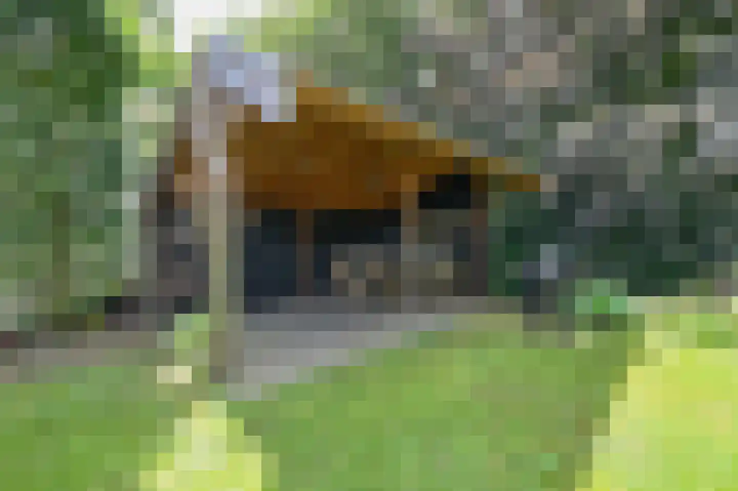 Westerblokker 112 A Blokker thumbnail 56