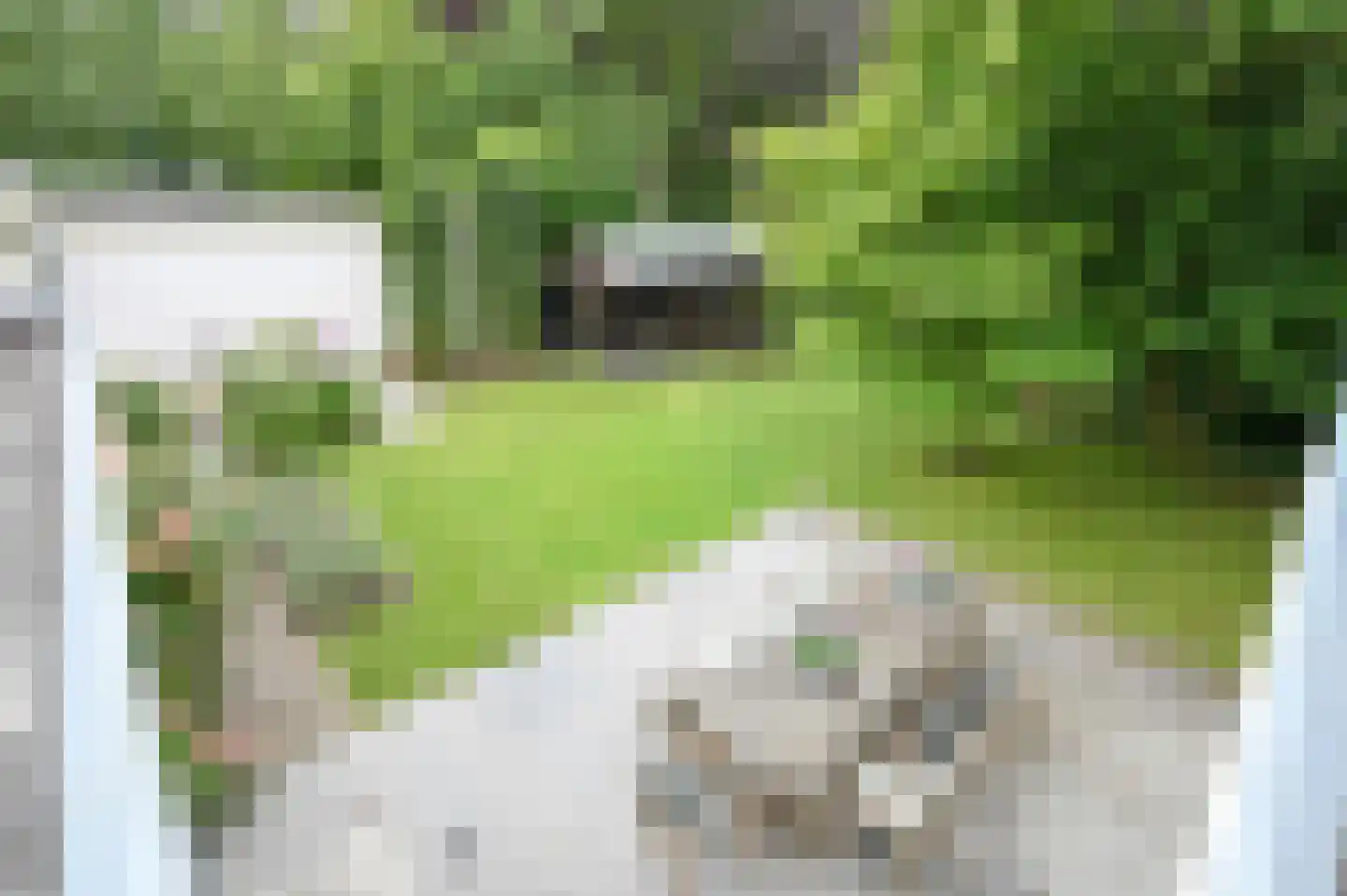 Westerblokker 112 A Blokker thumbnail 57