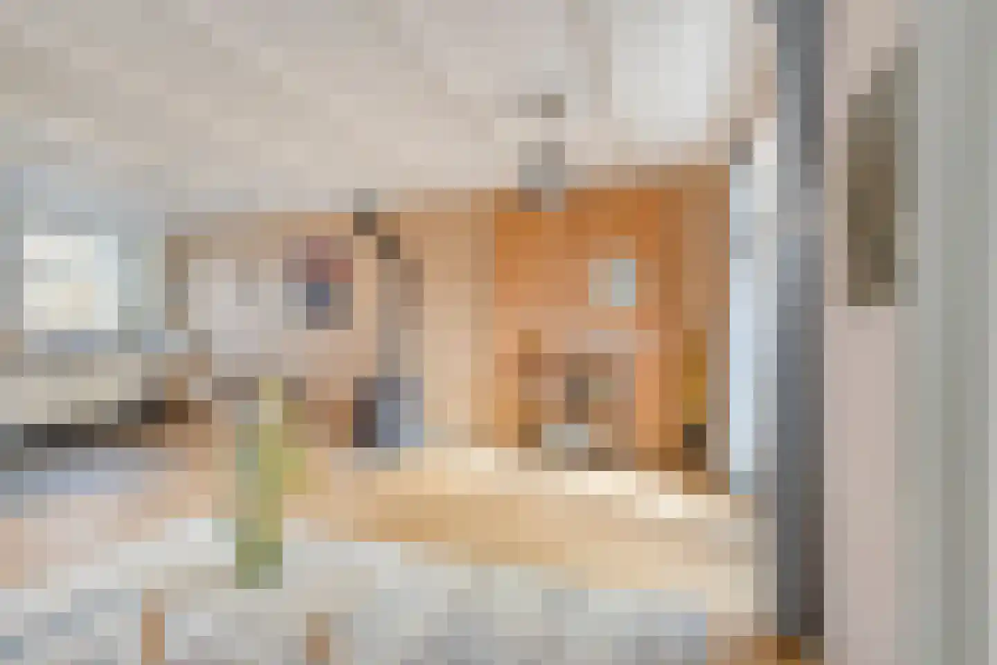 Westerblokker 124 Blokker thumbnail 13