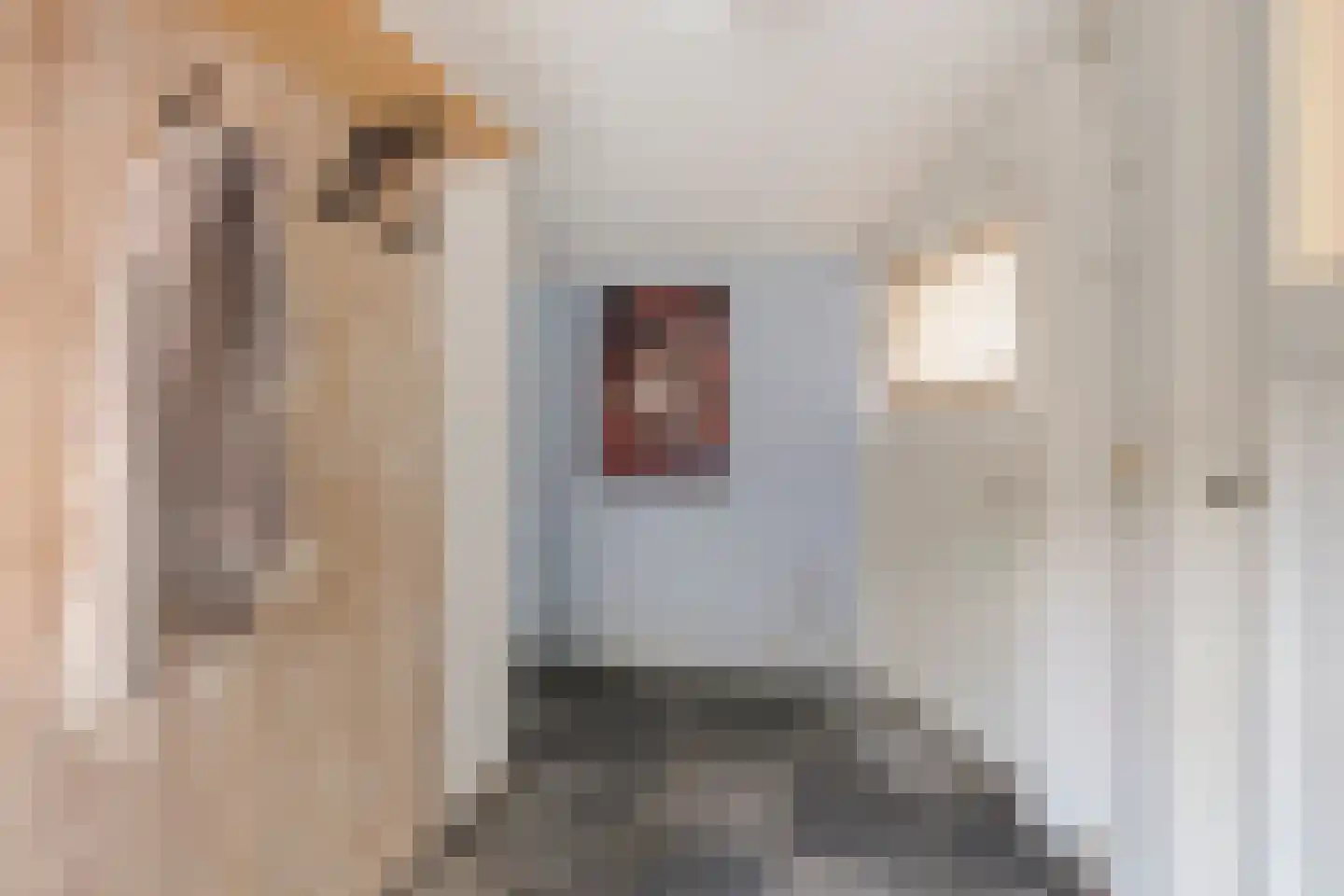 Westerblokker 124 Blokker thumbnail 26