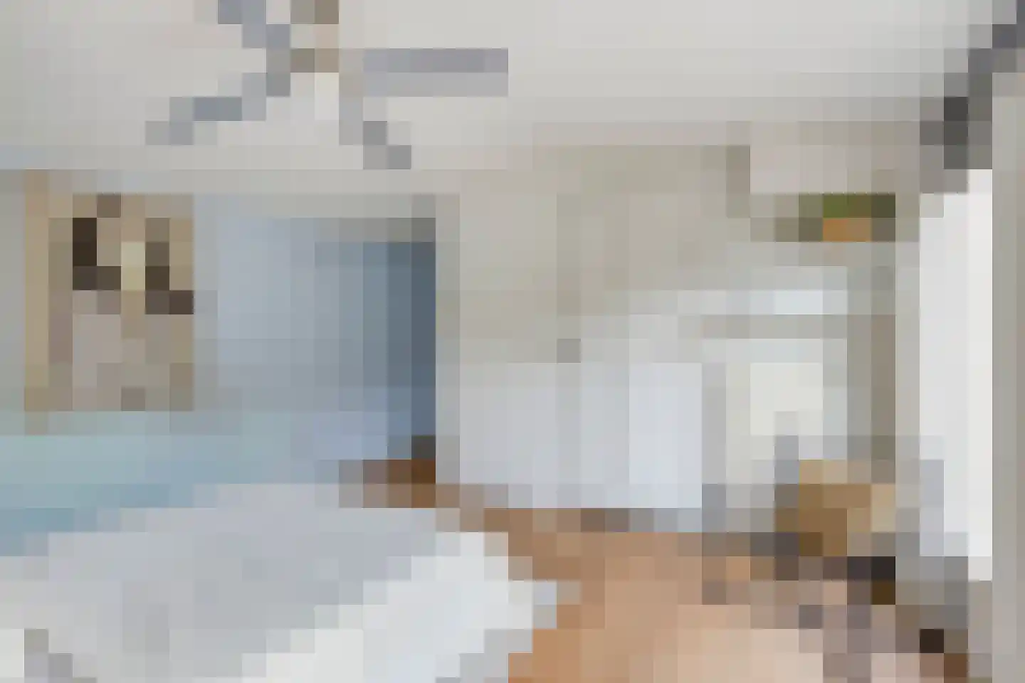 Westerblokker 124 Blokker thumbnail 30