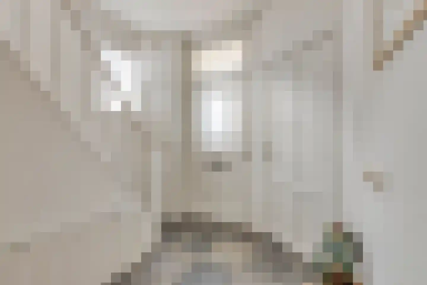 Westerblokker 124 Blokker thumbnail 33