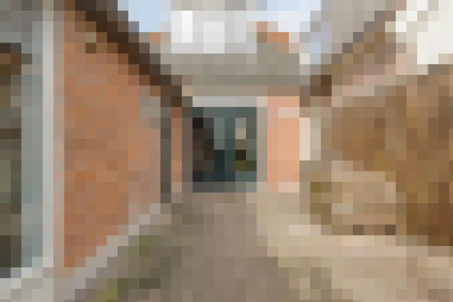 Westerblokker 124 Blokker thumbnail 42