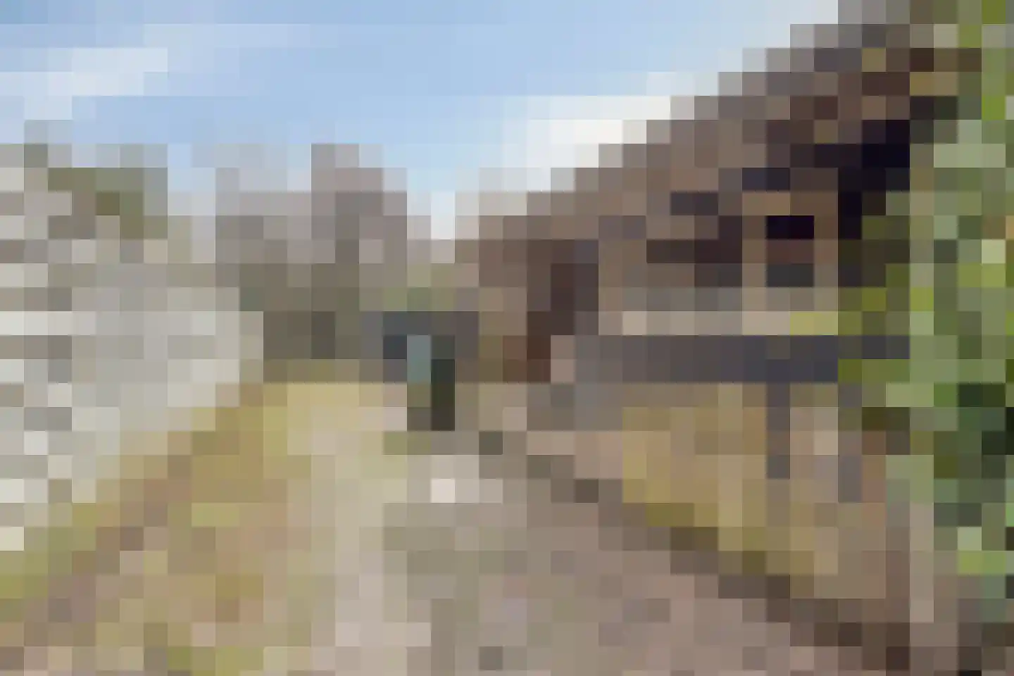 Westerblokker 124 Blokker thumbnail 46