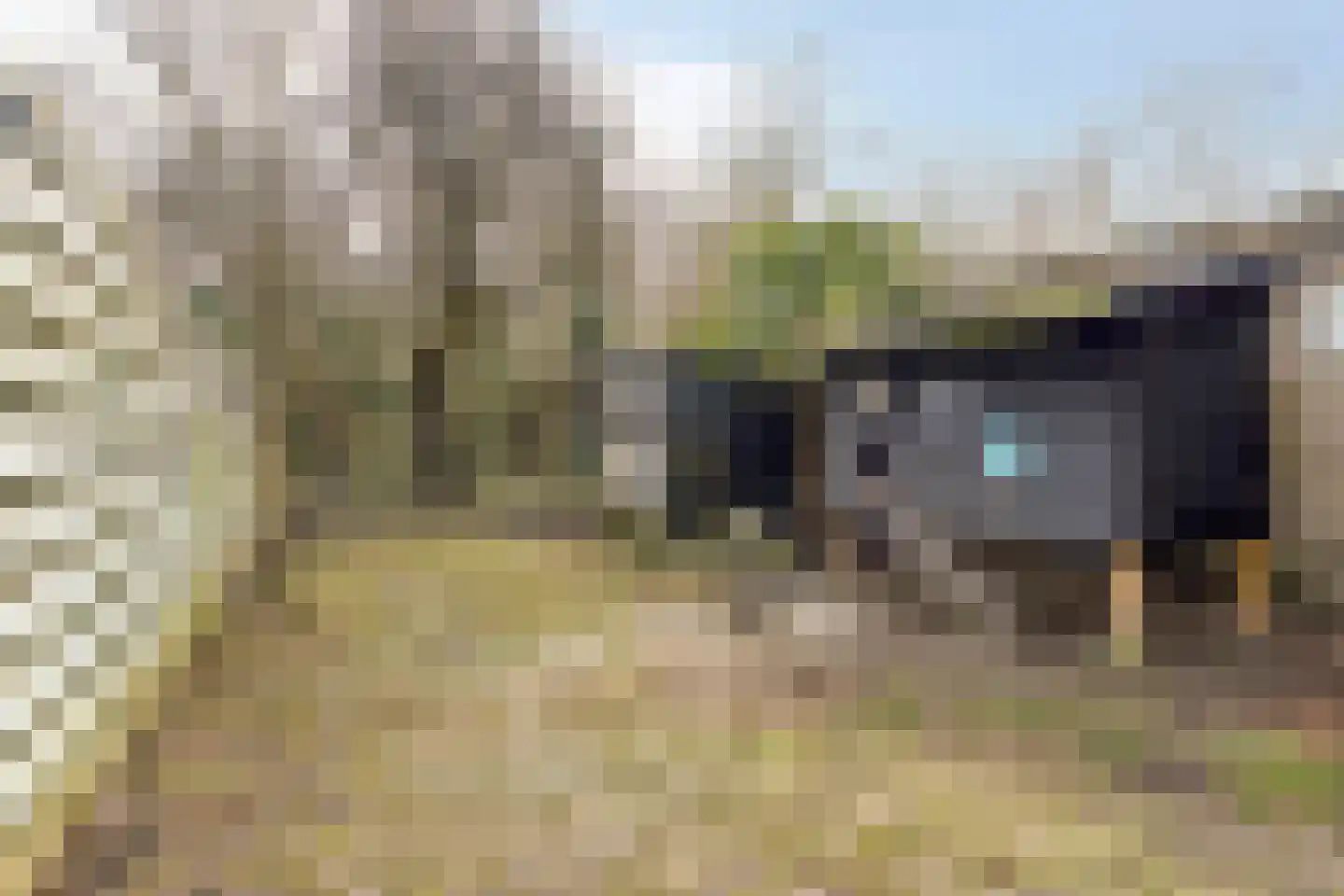 Westerblokker 124 Blokker thumbnail 48