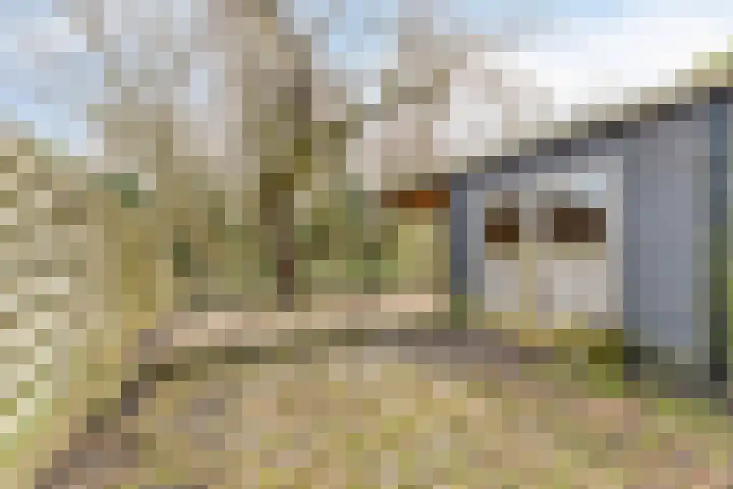 Westerblokker 124 Blokker thumbnail 51