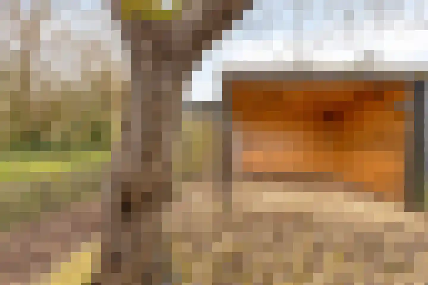 Westerblokker 124 Blokker thumbnail 52