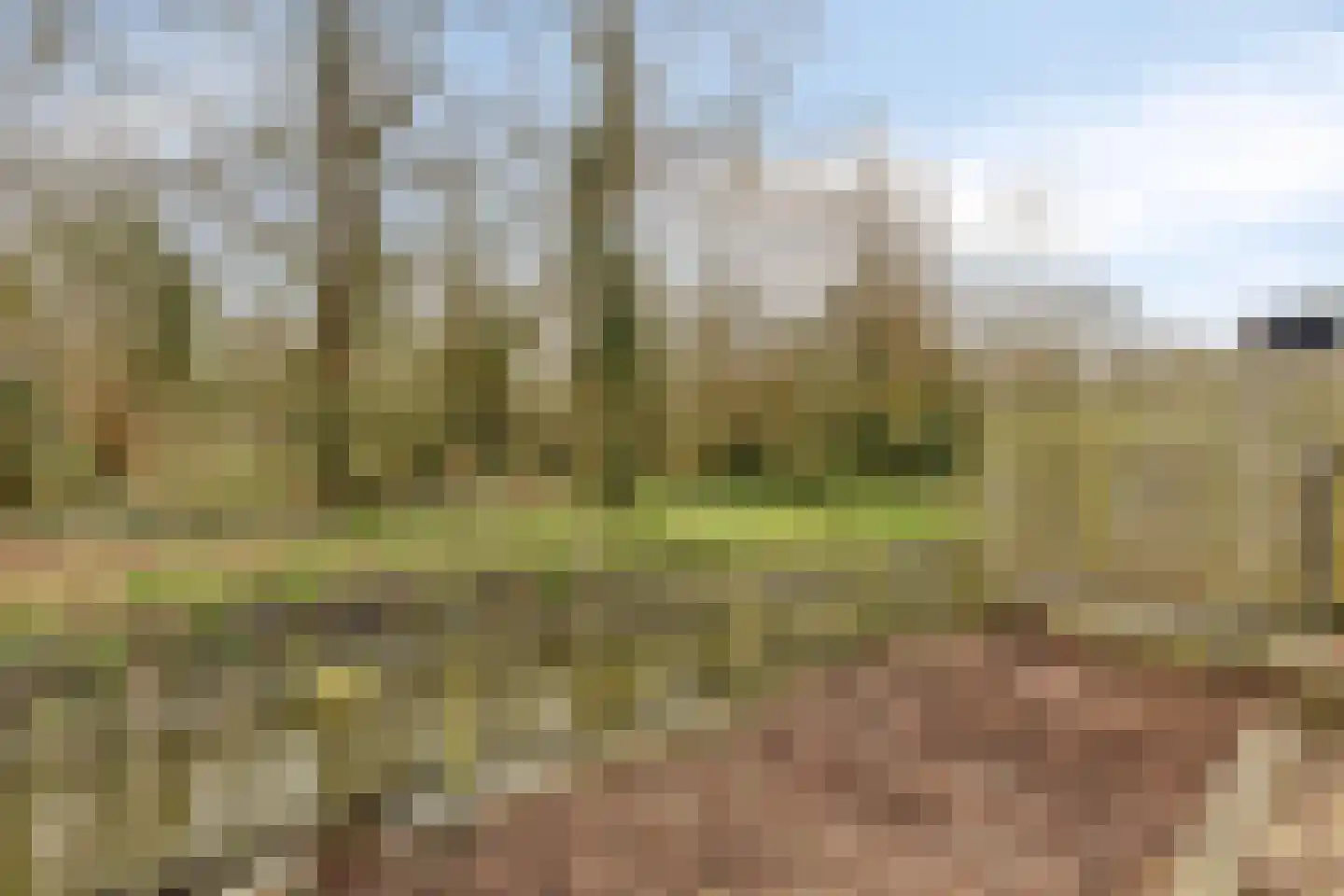 Westerblokker 124 Blokker thumbnail 53