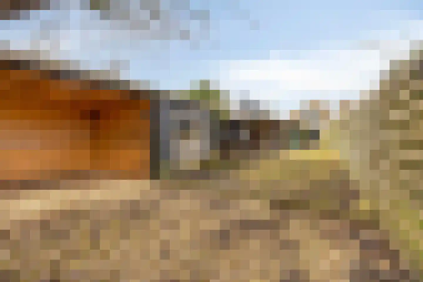 Westerblokker 124 Blokker thumbnail 54