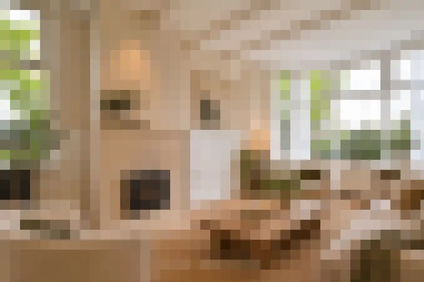 Westerblokker 14 Oosterblokker thumbnail 11