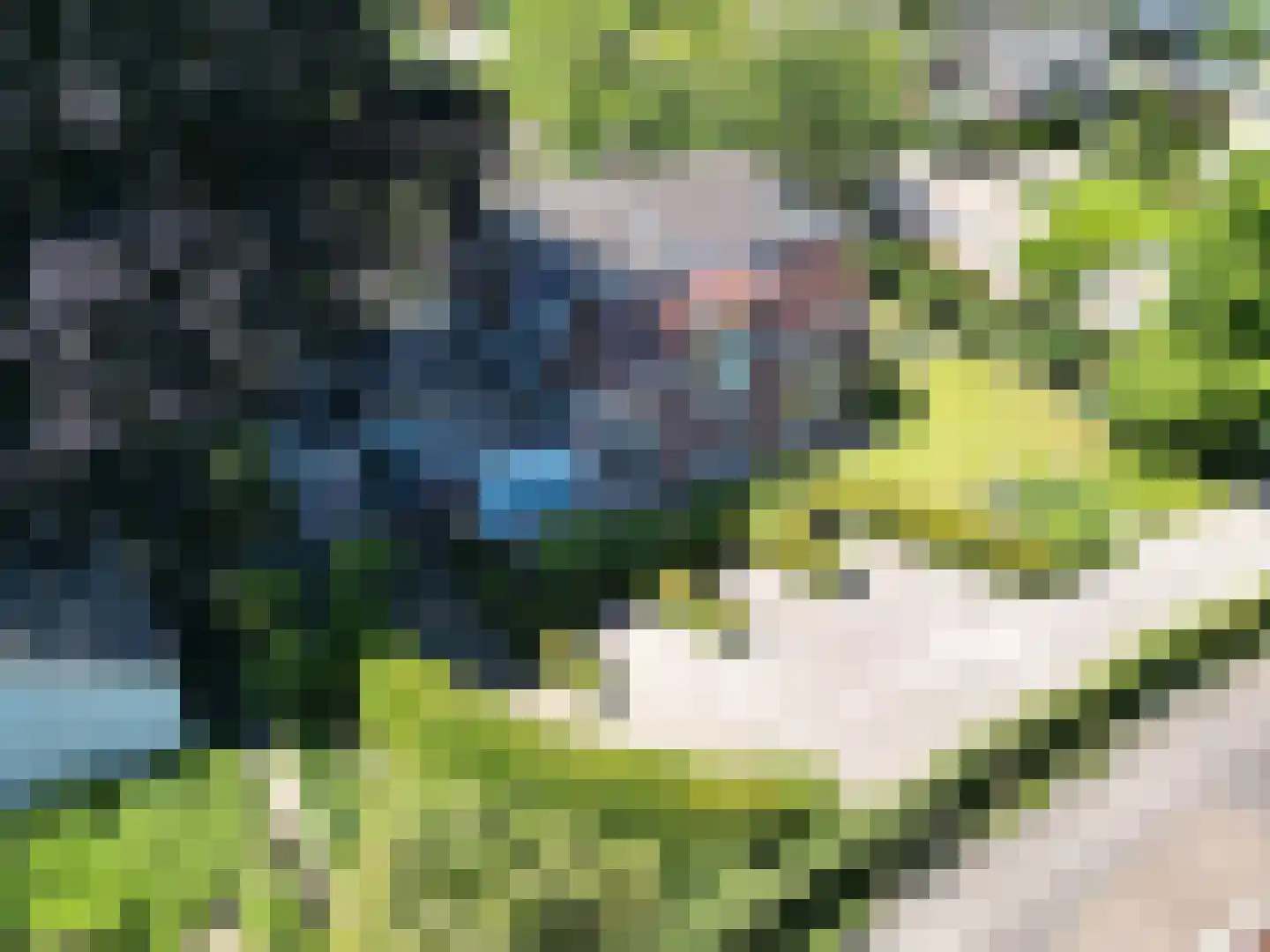 Westerblokker 14 Oosterblokker thumbnail 4