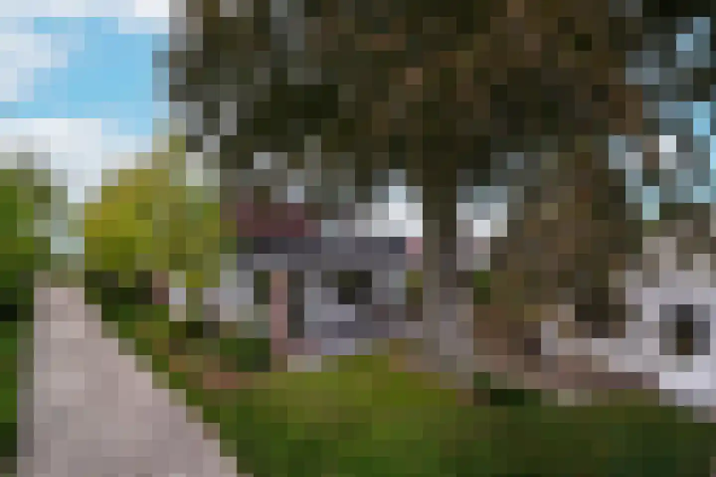 Westerblokker 14 Oosterblokker thumbnail 49