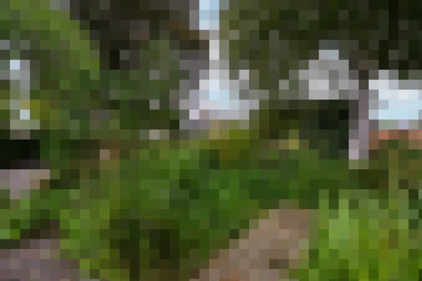 Westerblokker 14 Oosterblokker thumbnail 52