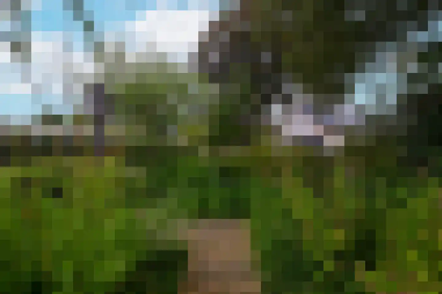 Westerblokker 14 Oosterblokker thumbnail 53